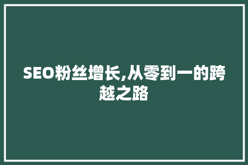 SEO粉丝增长,从零到一的跨越之路