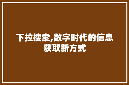 下拉搜索,数字时代的信息获取新方式