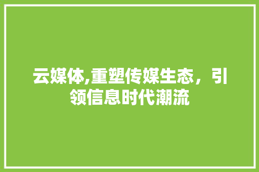 云媒体,重塑传媒生态，引领信息时代潮流