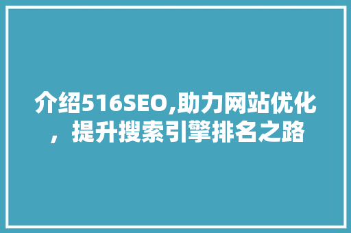 介绍516SEO,助力网站优化，提升搜索引擎排名之路