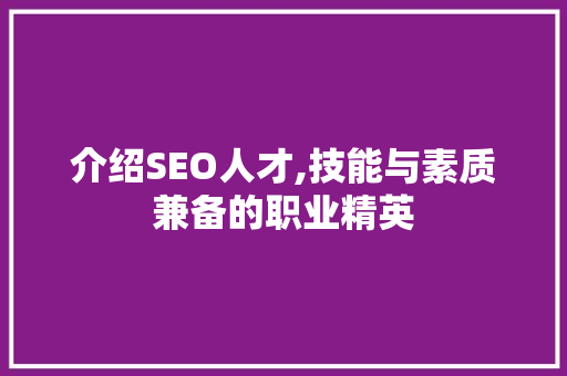 介绍SEO人才,技能与素质兼备的职业精英