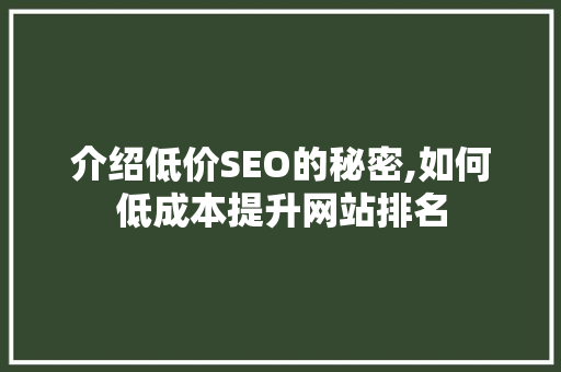 介绍低价SEO的秘密,如何低成本提升网站排名