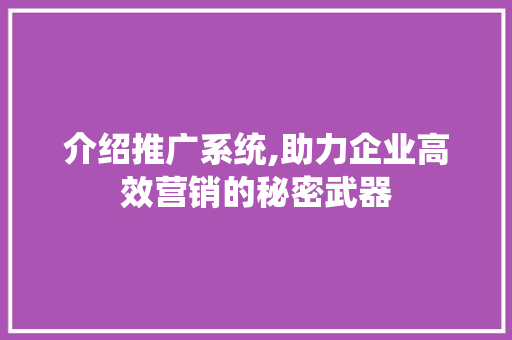 介绍推广系统,助力企业高效营销的秘密武器