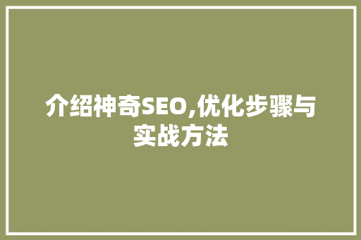 介绍神奇SEO,优化步骤与实战方法