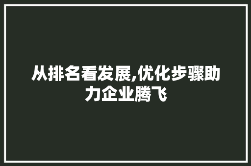 从排名看发展,优化步骤助力企业腾飞