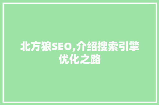 北方狼SEO,介绍搜索引擎优化之路