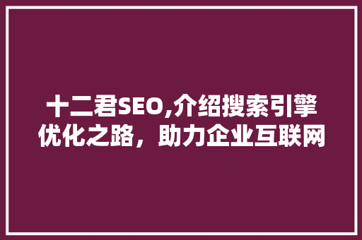 十二君SEO,介绍搜索引擎优化之路，助力企业互联网营销