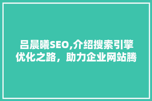 吕晨曦SEO,介绍搜索引擎优化之路，助力企业网站腾飞