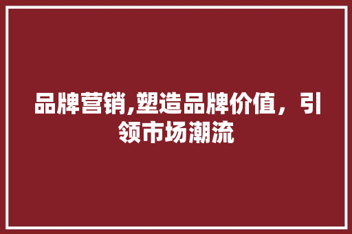 品牌营销,塑造品牌价值，引领市场潮流