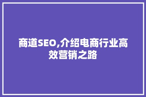 商道SEO,介绍电商行业高效营销之路