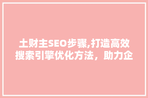 土财主SEO步骤,打造高效搜索引擎优化方法，助力企业腾飞