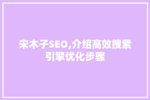 宋木子SEO,介绍高效搜索引擎优化步骤
