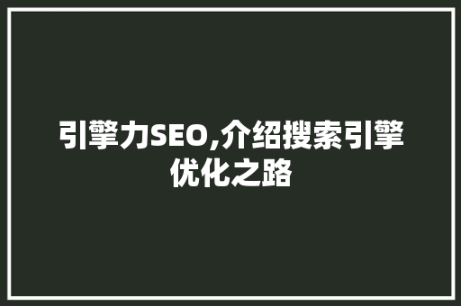 引擎力SEO,介绍搜索引擎优化之路