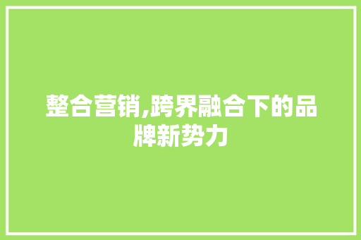 整合营销,跨界融合下的品牌新势力