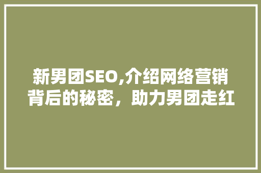 新男团SEO,介绍网络营销背后的秘密，助力男团走红之路