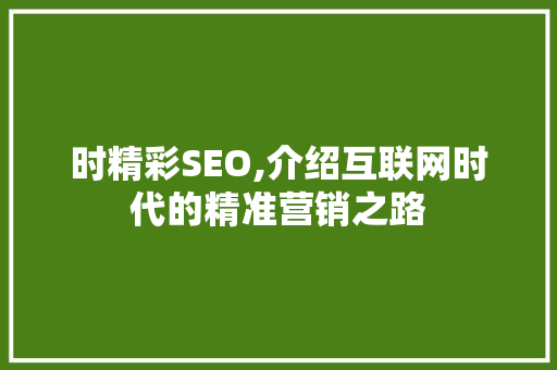 时精彩SEO,介绍互联网时代的精准营销之路