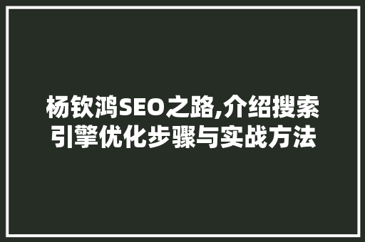 杨钦鸿SEO之路,介绍搜索引擎优化步骤与实战方法