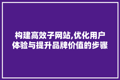 构建高效子网站,优化用户体验与提升品牌价值的步骤