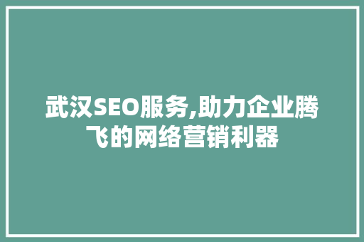 武汉SEO服务,助力企业腾飞的网络营销利器