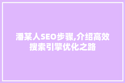 潘某人SEO步骤,介绍高效搜索引擎优化之路