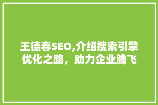王德春SEO,介绍搜索引擎优化之路，助力企业腾飞