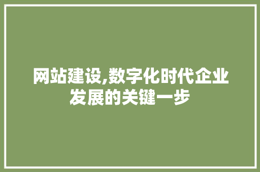 网站建设,数字化时代企业发展的关键一步