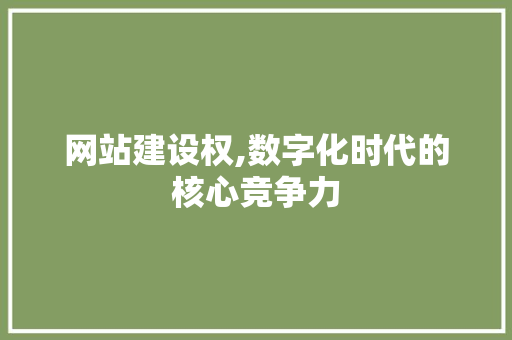 网站建设权,数字化时代的核心竞争力