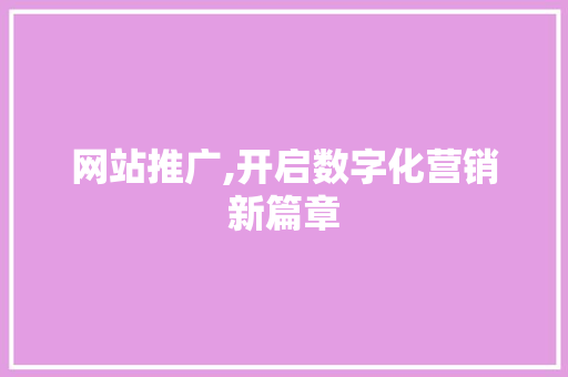 网站推广,开启数字化营销新篇章