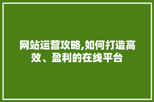 网站运营攻略,如何打造高效、盈利的在线平台