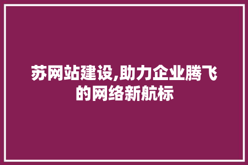 苏网站建设,助力企业腾飞的网络新航标