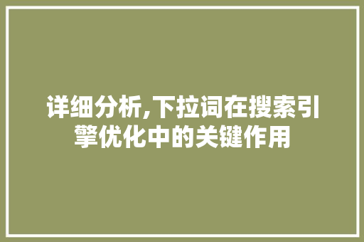 详细分析,下拉词在搜索引擎优化中的关键作用