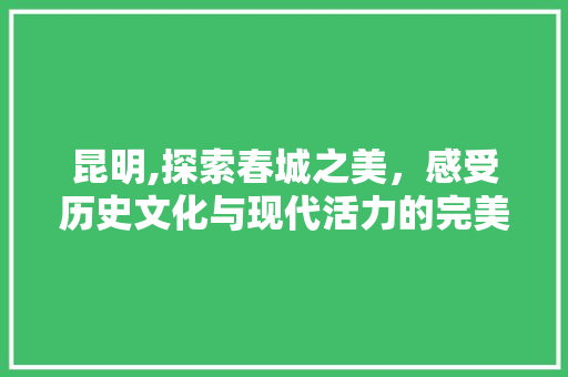 昆明,探索春城之美，感受历史文化与现代活力的完美融合