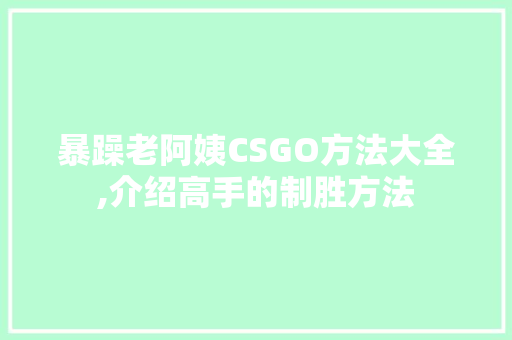 暴躁老阿姨CSGO方法大全,介绍高手的制胜方法