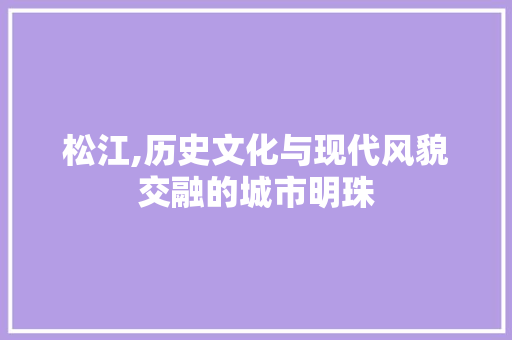 松江,历史文化与现代风貌交融的城市明珠