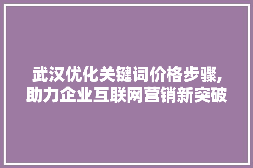武汉优化关键词价格步骤,助力企业互联网营销新突破