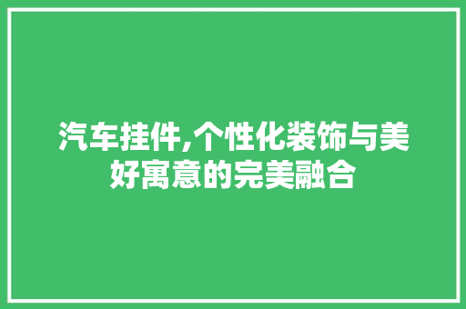 汽车挂件,个性化装饰与美好寓意的完美融合