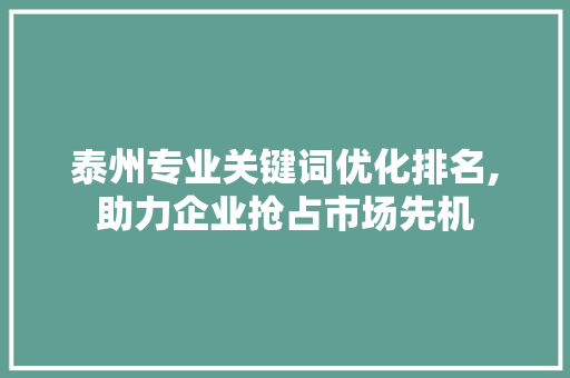 泰州专业关键词优化排名,助力企业抢占市场先机