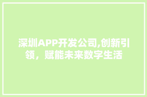 深圳APP开发公司,创新引领，赋能未来数字生活