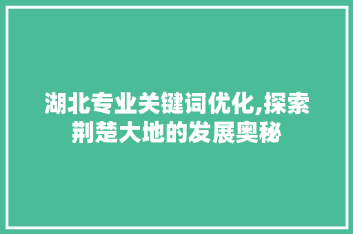 湖北专业关键词优化,探索荆楚大地的发展奥秘