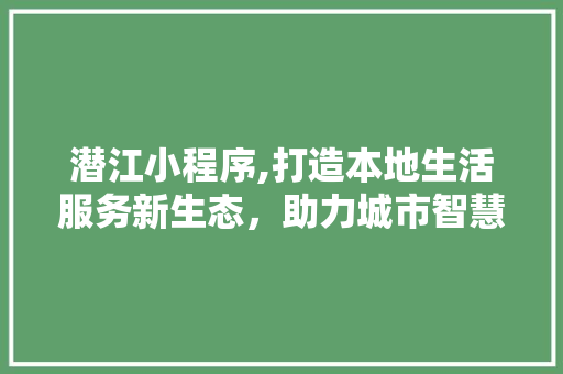 潜江小程序,打造本地生活服务新生态，助力城市智慧发展