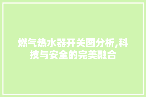 燃气热水器开关图分析,科技与安全的完美融合