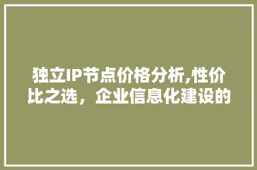 独立IP节点价格分析,性价比之选，企业信息化建设的关键