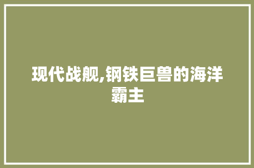 现代战舰,钢铁巨兽的海洋霸主