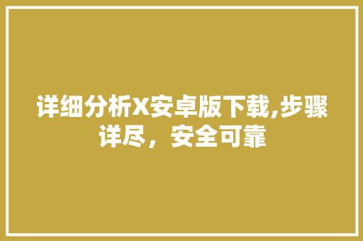 详细分析X安卓版下载,步骤详尽，安全可靠