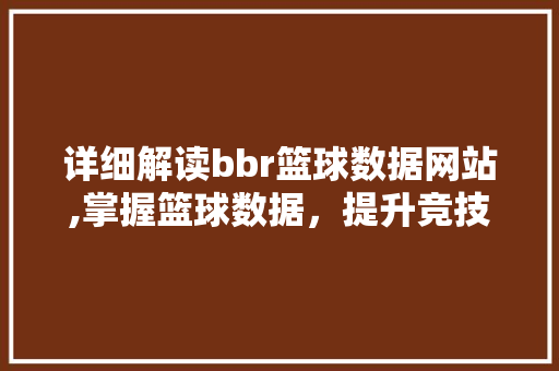 详细解读bbr篮球数据网站,掌握篮球数据，提升竞技水平