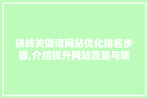 铁岭关键词网站优化排名步骤,介绍提升网站流量与曝光度的方法