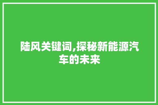 陆风关键词,探秘新能源汽车的未来