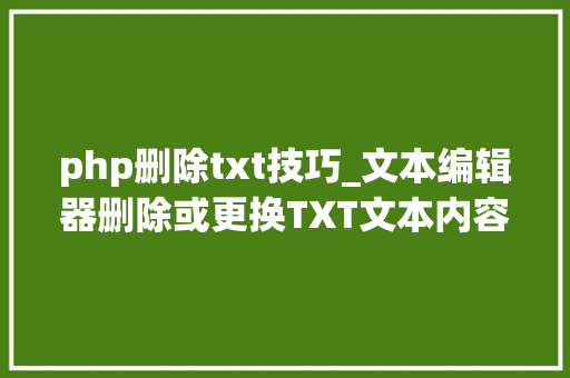 php删除txt技巧_文本编辑器删除或更换TXT文本内容中的符号提高工作效率的方法