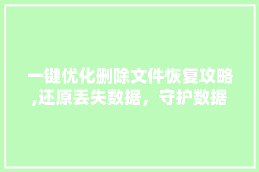 一键优化删除文件恢复攻略,还原丢失数据，守护数据安全