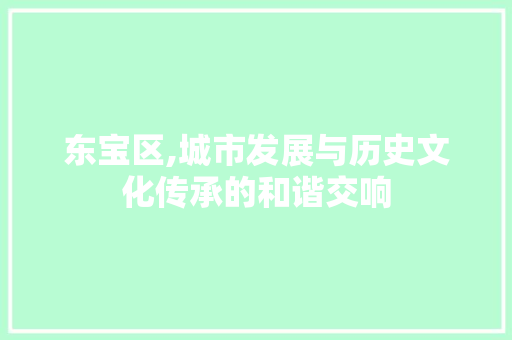 东宝区,城市发展与历史文化传承的和谐交响